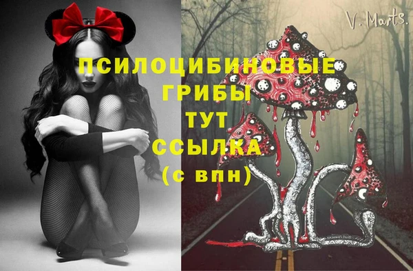 ECSTASY Алексеевка