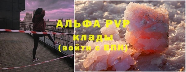 apvp Алзамай