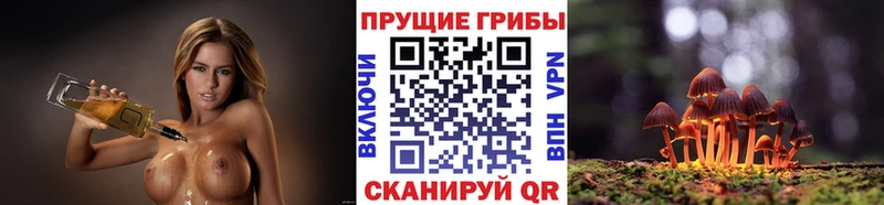 Галлюциногенные грибы ЛСД как найти закладки Ладушкин